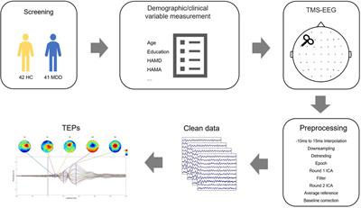 TMS-evoked potential in the dorsolateral prefrontal cortex to assess the severity of depression disease: a TMS-EEG study